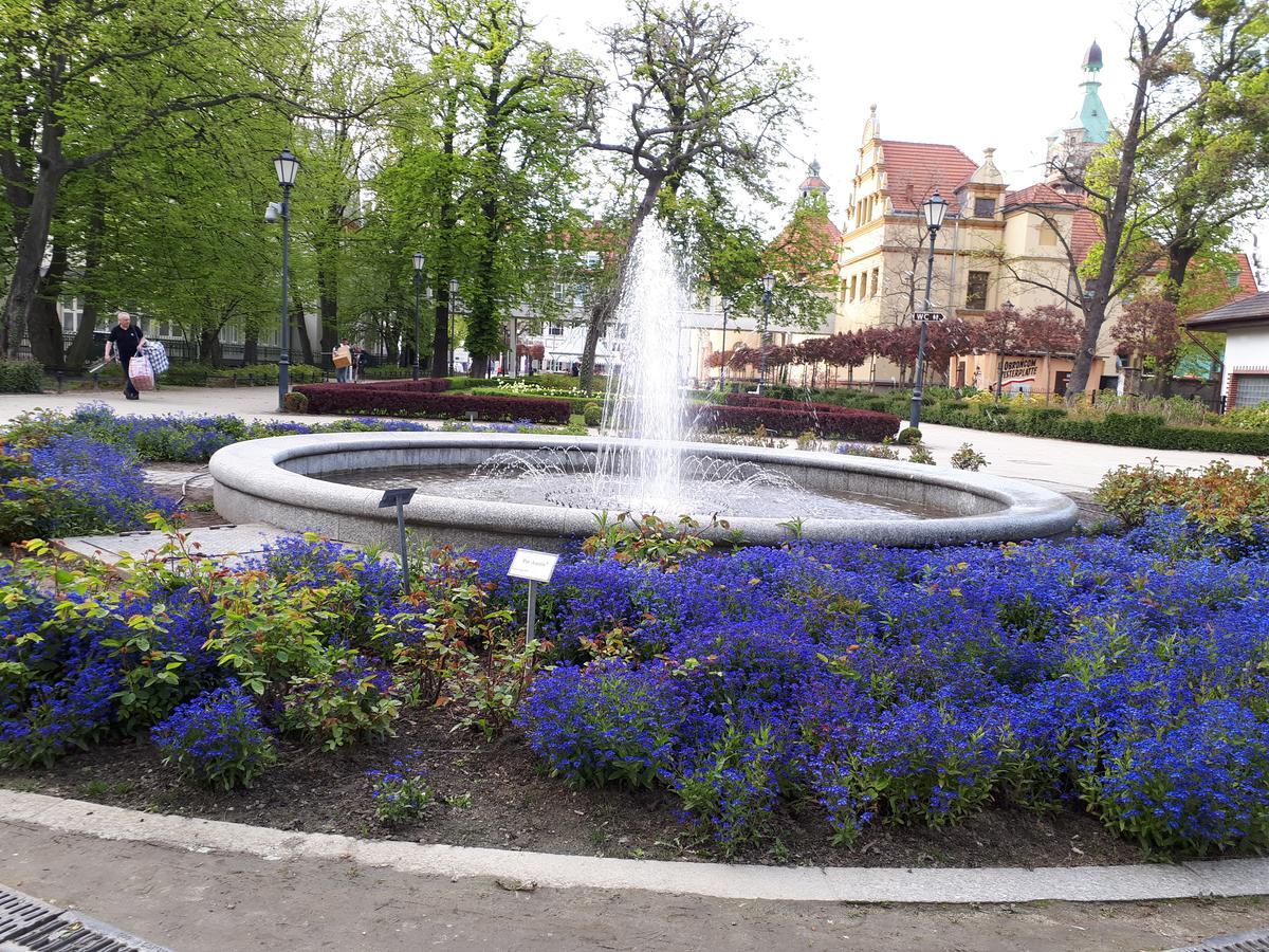 Kierunek Sopot Apartament WERANDA Haffnera 32 Eksteriør billede